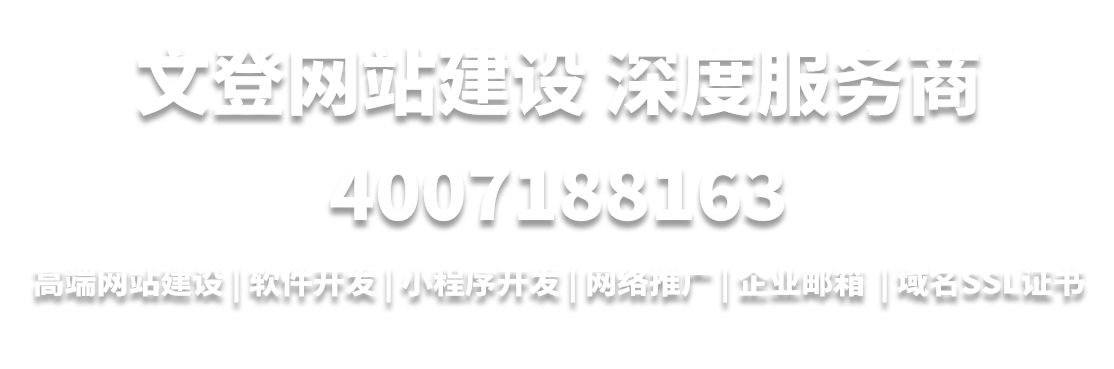 文登网站建设深度服务商4007188163