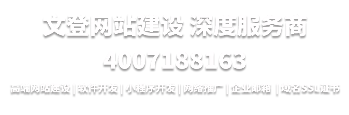 文登网站建设深度服务商4007188163