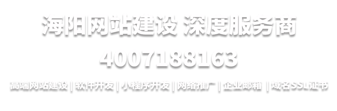 海阳网站建设深度服务商4007188163
