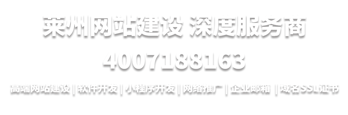 莱州网站建设深度服务商4007188163